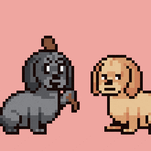 a pixel art drawing of two dogs with bonk written on the top