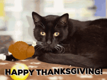 Thanksgiving Happy GIF - Thanksgiving Happy Thankgiving GIFs