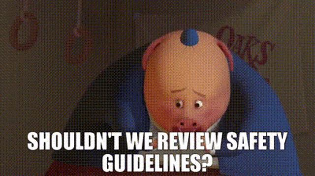 Chicken Little Shouldnt We Review Safety Guidelines GIF Chicken 