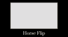 Horseflip GIF - Horseflip GIFs