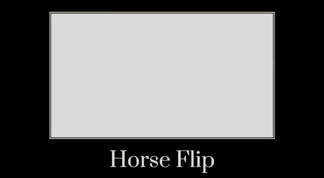 Horse Kickflip Tobey Bird GIF - Horse Kickflip Tobey Bird Kieran