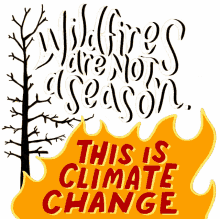 climate wildfire