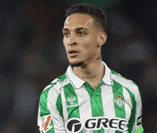 a soccer player wearing a green and white striped shirt is standing on a field .