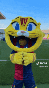 a cat mascot is holding a soccer ball in his mouth