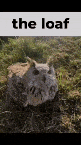 an owl is sitting in the grass with the words `` the loaf '' above it .