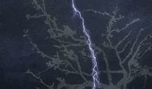 Lightning Rain And Lighting GIF