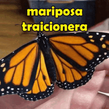 Mariposa Traicionera GIF