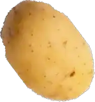 a potato is shown on a white background with a grainy texture