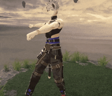 a video game character is standing in a grassy field