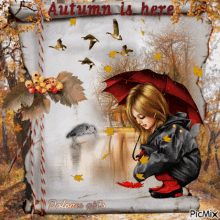 fall autumn outono leaves child