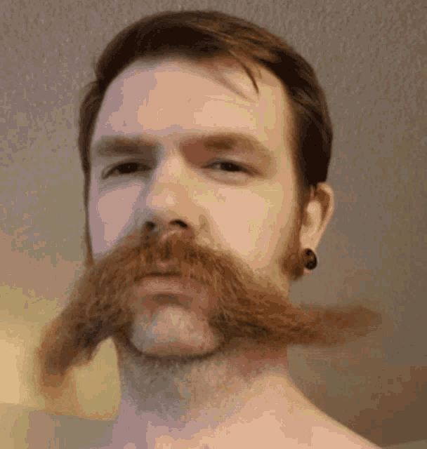 [Imagen: moustache-in.gif]