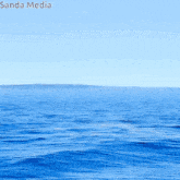 a picture of a whale swimming in the ocean with sanda media written on the bottom