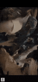 a group of people are standing next to each other in a dark room and looking at something .