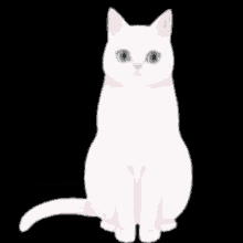 Elpha Cat GIF - Elpha Cat GIFs