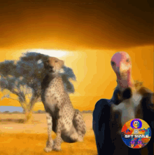 Cheetah Vulture GIF - Cheetah Vulture Africa GIFs