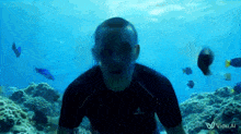 a man in a black shirt is swimming in the ocean with a vidu al logo in the corner