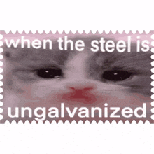 steel ungalvanized