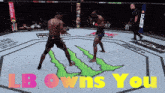 two men are fighting in a ring with the words lb owns you