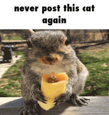 Never Post GIF - Never Post This GIFs