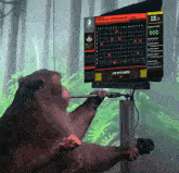 a monkey is playing a game on a screen that says last byte
