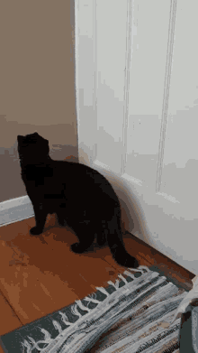 Cat Black Cat GIF - Cat Black Cat Raven GIFs