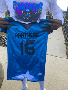 Dcp Dc Panthers GIF