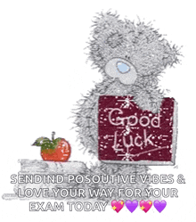a teddy bear with a sign that says good luck