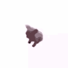 Apa Ni Kucing Joget GIF - Apa Ni Kucing Joget Dancing Cat GIFs