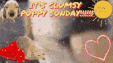 Clumsy Puppy Sunday GIF
