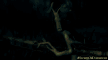 Running Bowtruckle GIF - Running Bowtruckle Fantastic Beasts The Secrets Of Dumbledore GIFs