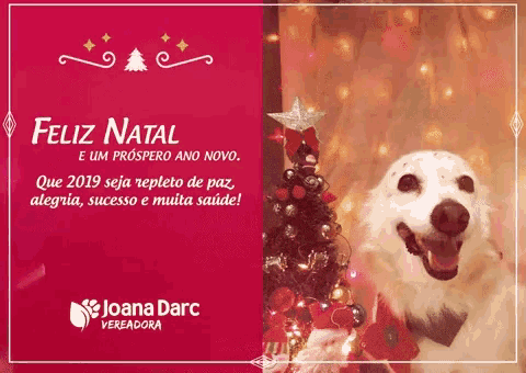 Feliz Natal Taniapet GIF - Feliz Natal Taniapet Feliz2019 - Discover &  Share GIFs