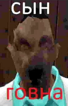 a man wearing a blue shirt and gloves is holding a cell phone in his hand .