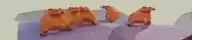 a group of bears are standing next to each other on top of a snow covered hill .