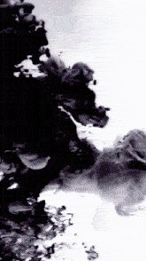 black ink is being poured into a white liquid