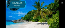 a tropical beach with a palm tree and a speech bubble that says xeyallar adasi
