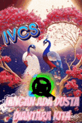 two peacocks are sitting in a tree with flowers and the words incs