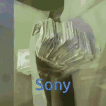 Sony Money GIF - Sony Money GIFs