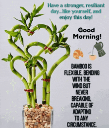 Good Morning Images New 2023 Bamboo GIF - Good Morning Images New 2023 Bamboo GIFs