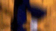 a blurry image of a person 's feet with the word vangato visible in the corner