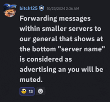 a screenshot of a discord conversation between bitch125 and another user
