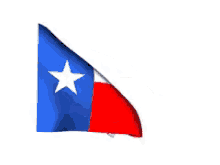 texas flag waving cowboy bigd