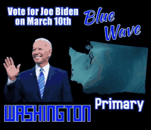 Blue Wave Usa GIF - Blue Wave Usa Election GIFs