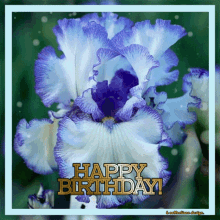 a blue and white flower with the words happy birthday