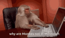 Monke Not In Minecraft GIF - Monke Not In Minecraft GIFs