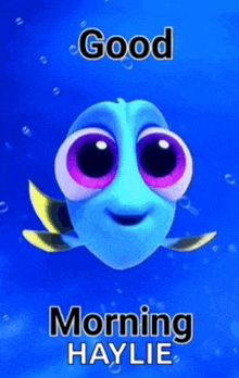 a picture of dory from the movie finding nemo says good morning haylie