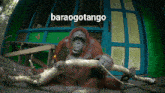 Baraogotango GIF - Baraogotango GIFs