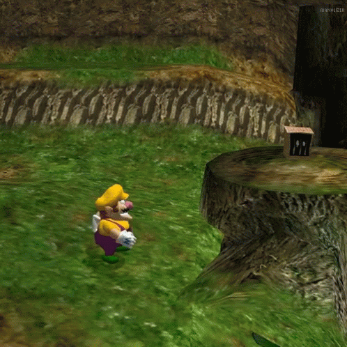 Wario World
