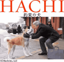 Hachiko GIF - Hachiko GIFs