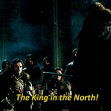 King Of Thrones The King In The North GIF