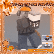 a picture of a roblox character with the words you are my one true love on it